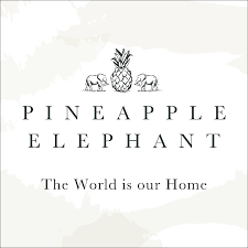 Pineapple Elephant Afra Cotton Muslin Duvet Set - White